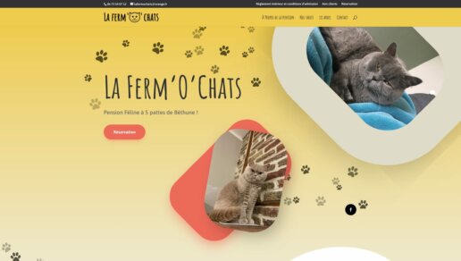 La ferm'o'chats : pension féline à Béthune