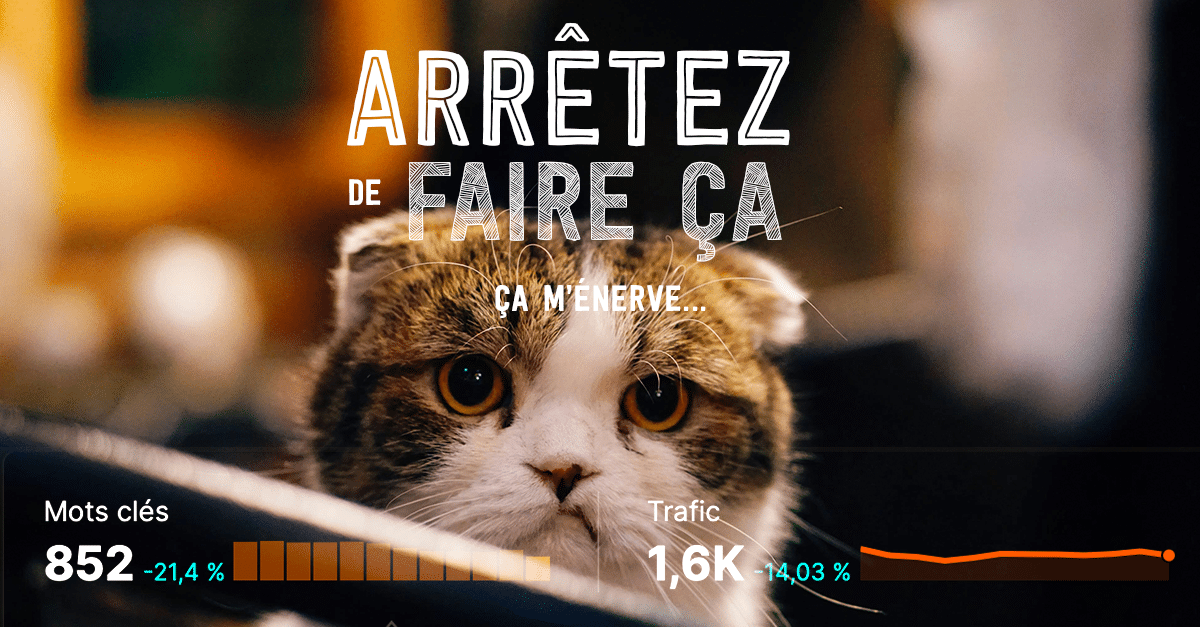 Chat agacé, texte : Arrêtez de faire ça...