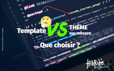 Template vs Thème sur mesure : Que choisir ?
