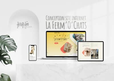 Création de site internet pour une pension féline à Béthune